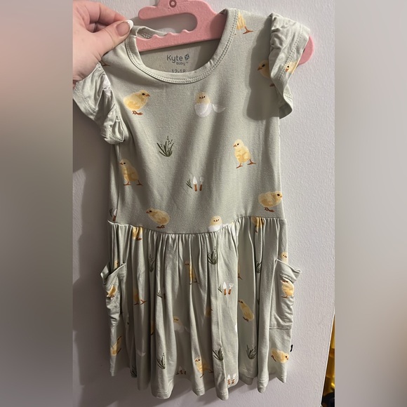 Kyte BABY Other - Kyte BABY Pocket Dress in Aloe Chick